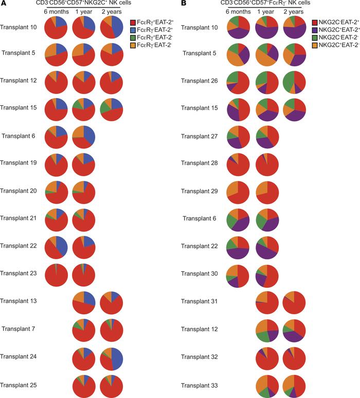 Comparison of adaptive NK cell phenotypic patterns in individual HCT rec...