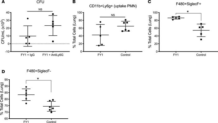Neutrophils are not required for protection from influenza HA targeting ...