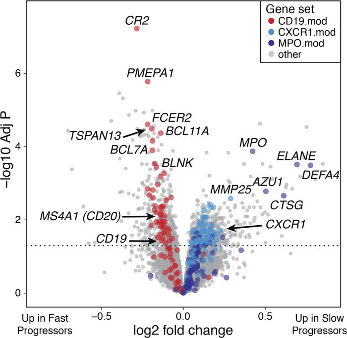 Whole blood gene expression profiles differ between T1D subjects with fa...