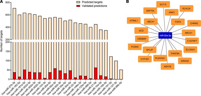 Analysis of top expressed miRNAs in iPSC-EVs.
(A) Histogram integrating ...
