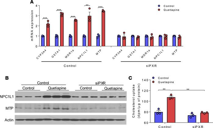 Quetiapine-mediated PXR activation increases NPC1L1 and MTP expression a...