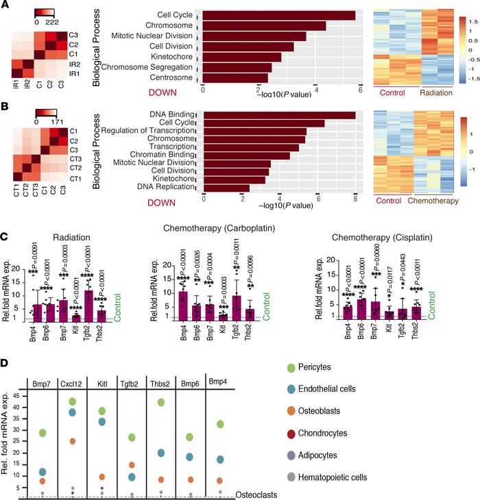 Radiation and chemotherapy induce upregulation of quiescence-promoting f...