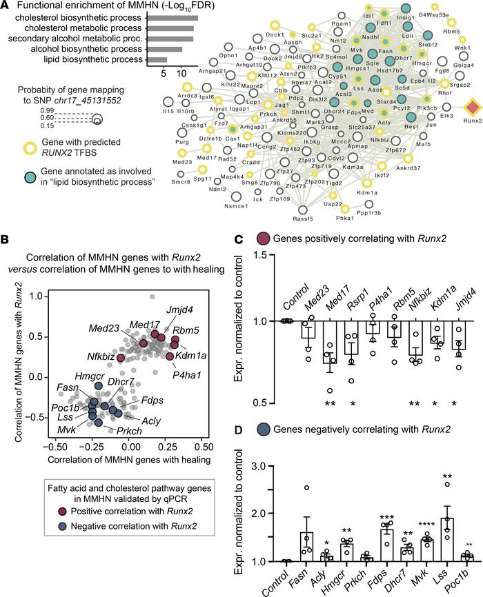The macrophage-mediated healing network is enriched for cholesterol/lipi...