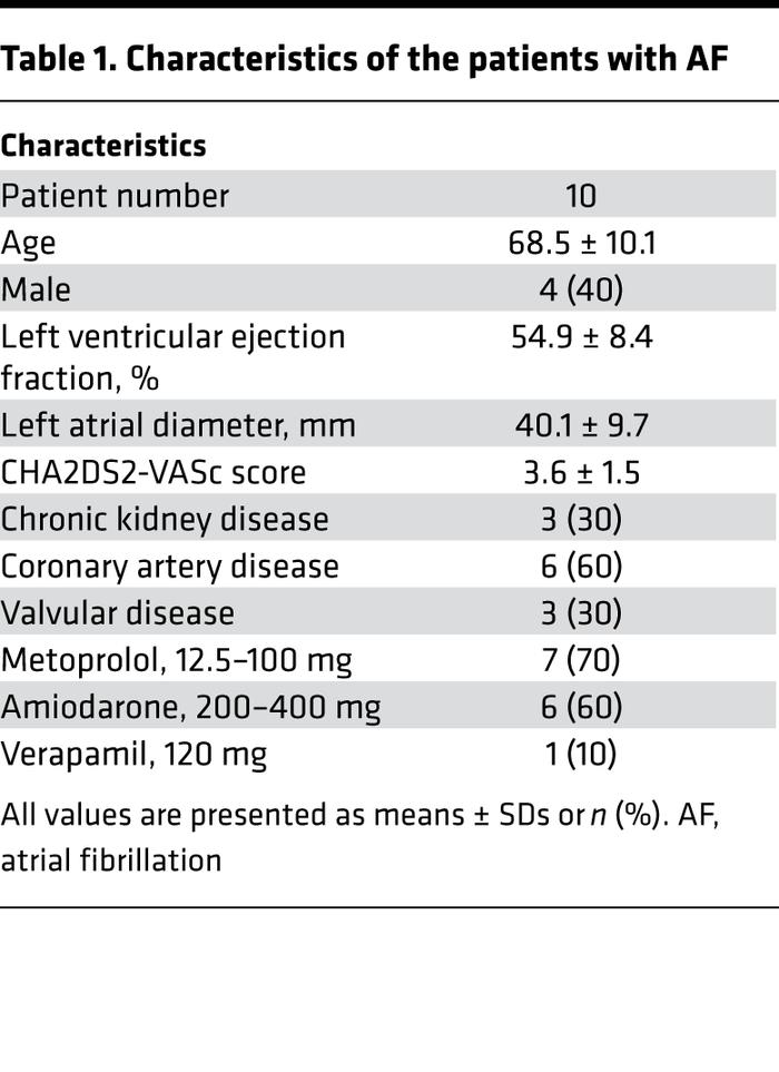 Characteristics of the patients with AF