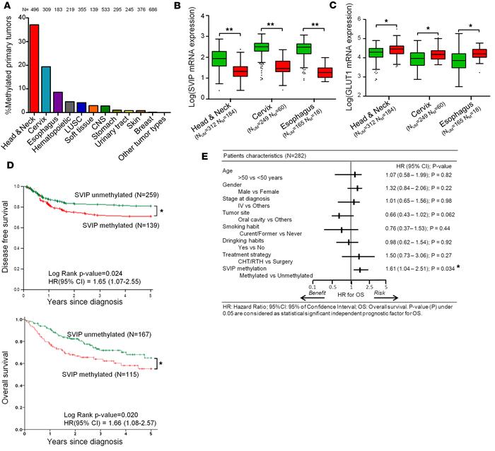 
SVIP epigenetic inactivation in human primary tumors and its associatio...