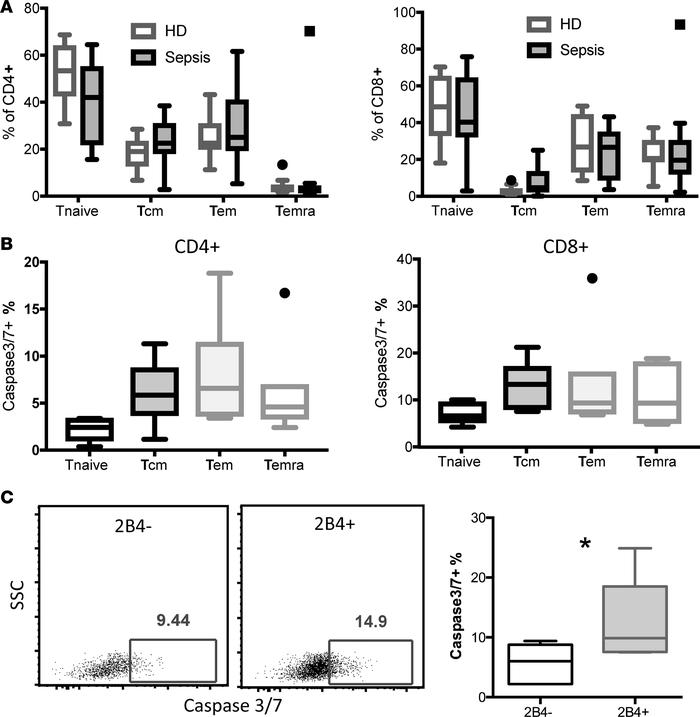 2B4+CD8+ T cells in patients with sepsis exhibited increased cell apopto...