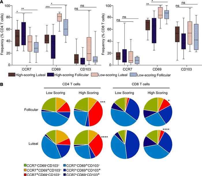 Stage of the menstrual cycle does not alter the impact of LTVH score on ...
