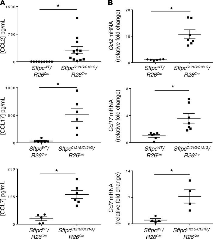 
SftpcC121G AT2 cells are a source of cytokines associated with macropha...