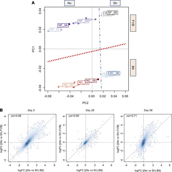 Temporal unbiased transcriptomic analysis revealed a distinct pattern of...