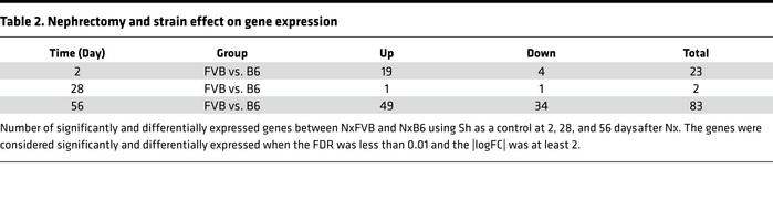 Nephrectomy and strain effect on gene expression