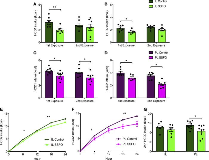IL but not PL VIPergic stimulation–driven reduction in HCD intake is dep...