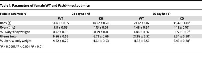 Parameters of female WT and Ptch1-knockout mice