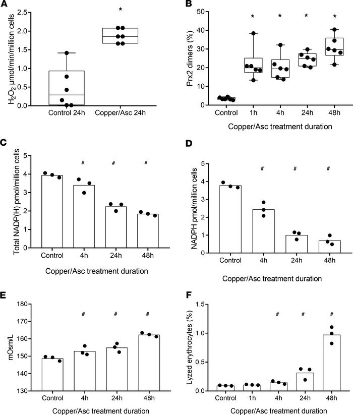 Effects of copper/ascorbate-induced oxidative stress on physical propert...