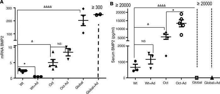 Bone BMP2 expression by RT-PCR and serum BMP2 levels.
BMP2 mRNA expressi...