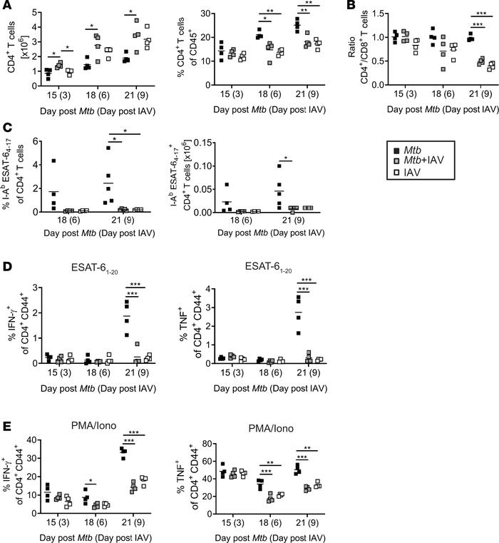 IAV coinfection impairs Mtb-specific CD4+ T cell response.
C57BL/6 mice ...