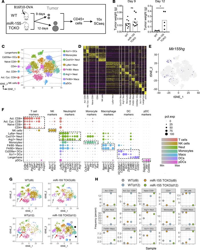Single-cell RNA sequencing reveals cellular dynamics within the tumor im...