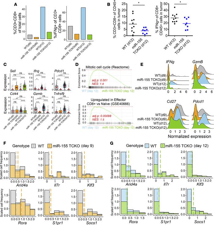 T cell–intrinsic expression of miR-155 is necessary for optimal antitumo...