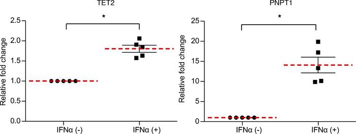 Expression of TET2 and PNPT1 in human β cells.
qRT-PCR analysis of TET2 ...