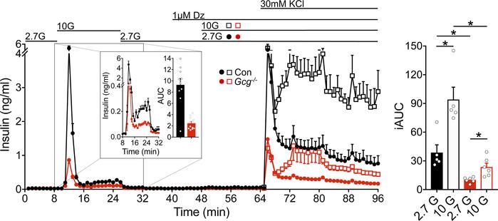 Lack of proglucagon peptide input reduces insulin secretion in response ...