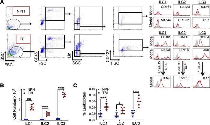 Increased presence of ILC1 and ILC3 within human CSF after TBI.
(A) CSF ...