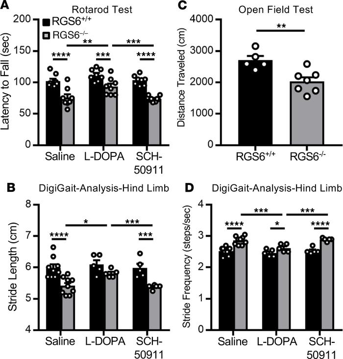 RGS6–/– mice exhibit late-age-onset motor impairments that can be partia...