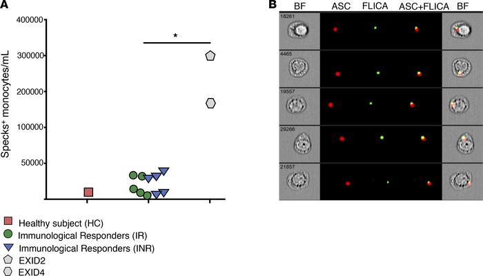 Quantification of canonical inflammasome activation in CD14+ monocytes.
...
