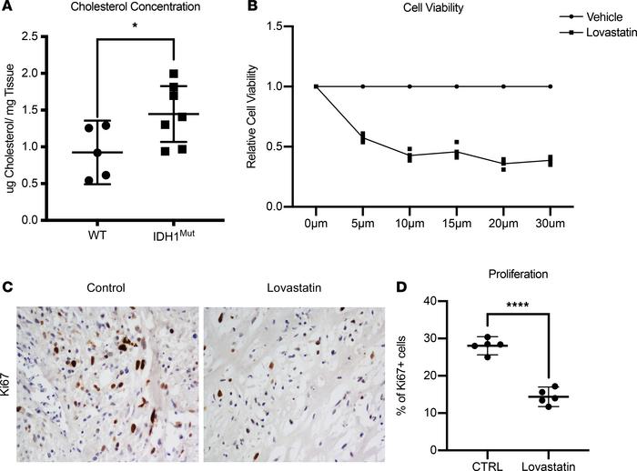 Lovastatin inhibited chondrosarcoma viability in vitro.
(A) Cholesterol ...