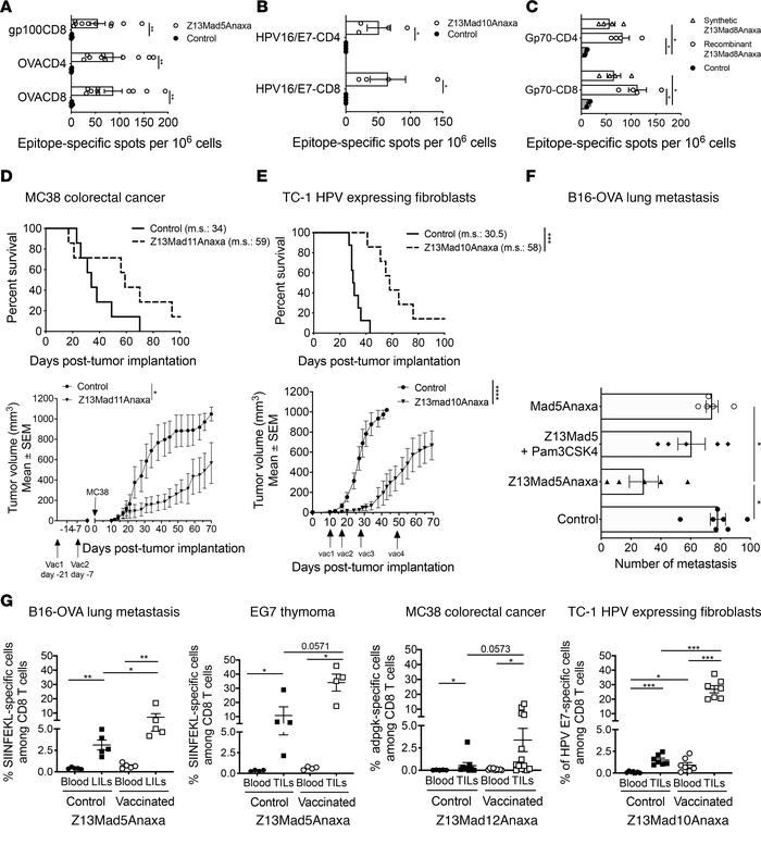 KISIMA vaccine induces antigen-specific T cell response in several tumor...