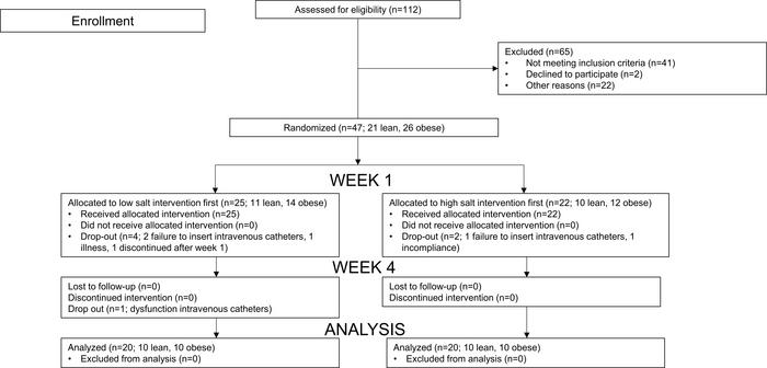 Enrollment, randomization, and dropout of participants.