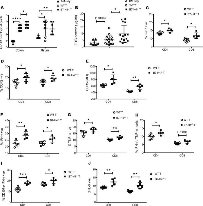 Elevated T effector function by B7-H4–/– donor T cells promotes increase...