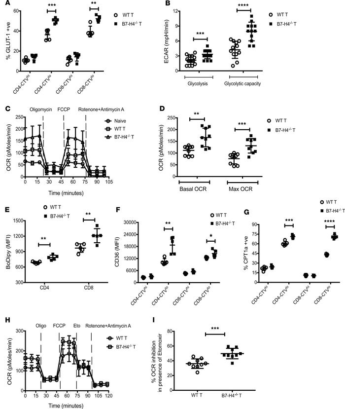 Metabolic alterations in B7-H4–/– versus WT donor T cells during GVHD.
L...
