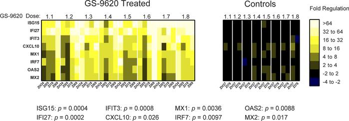 Upregulation of IFN-stimulated gene expression following GS-9620 adminis...