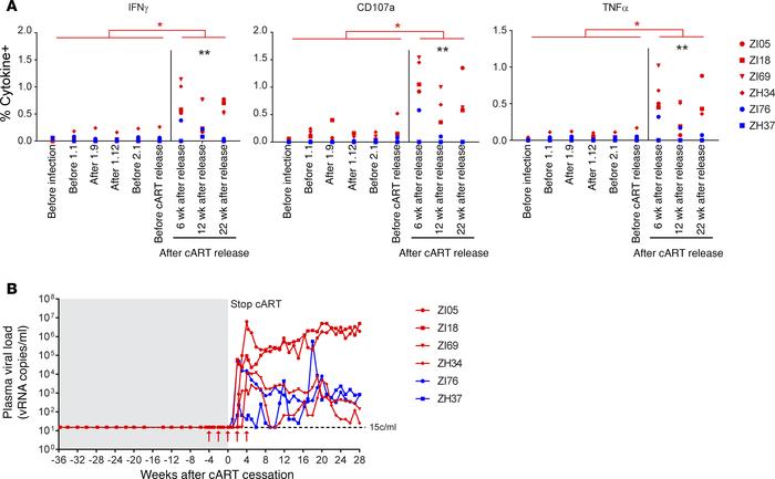 Immune response boosting with GS-9620 administration during off-cART vir...