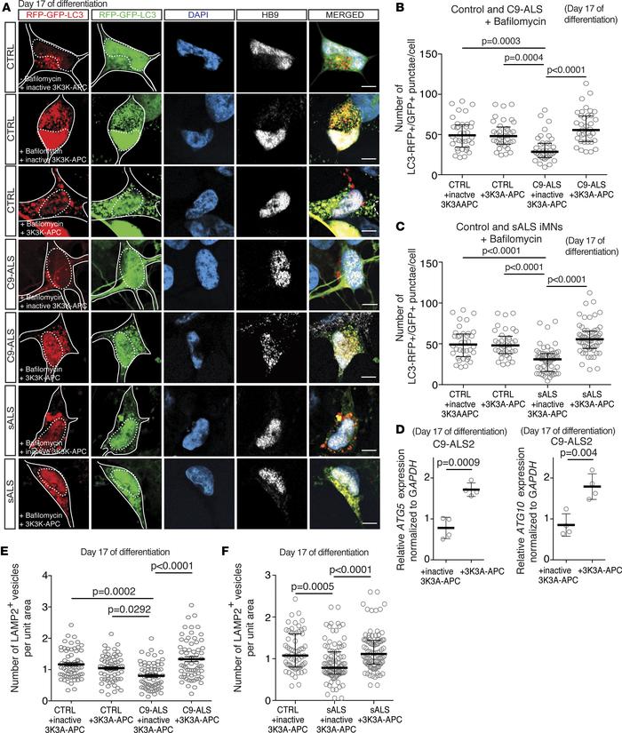 
C9ORF72 and sporadic ALS iMNs share autophagosome formation abnormaliti...