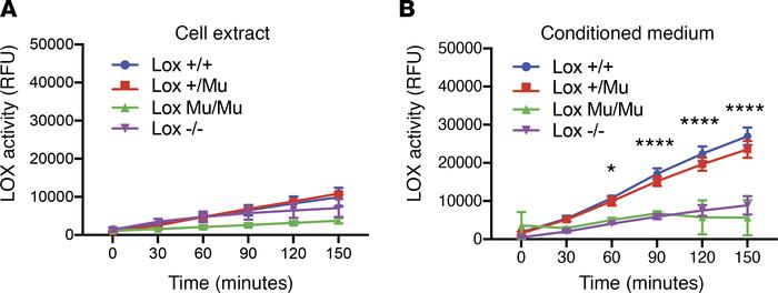 LOX enzymatic activity is absent in LoxMu/Mu cells.
(A) LOX activity in ...