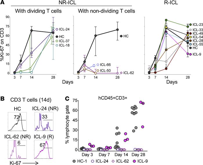 Patients in the NR-ICL group can be further classified based on their T ...