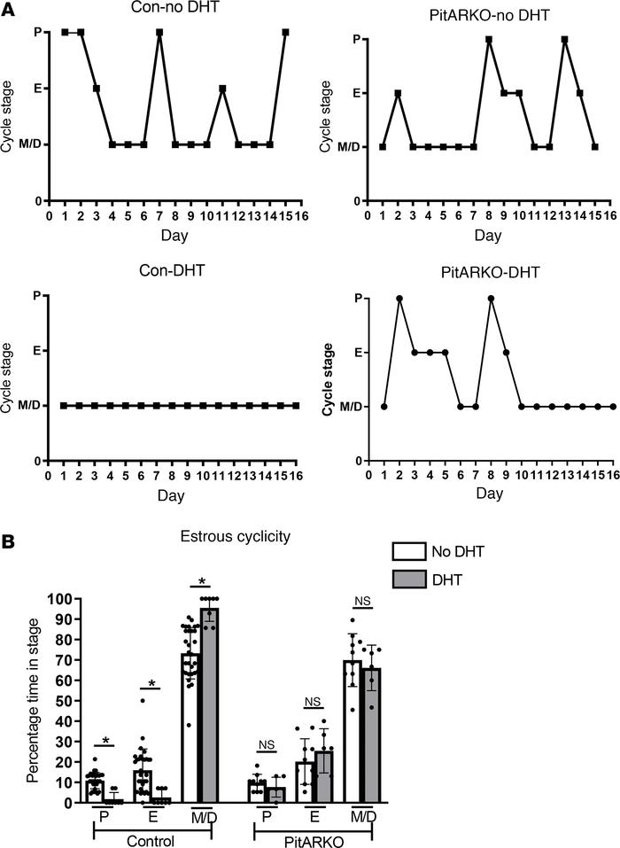 Estrous cyclicity.
Murine estrous cyclicity was examined by vaginal smea...