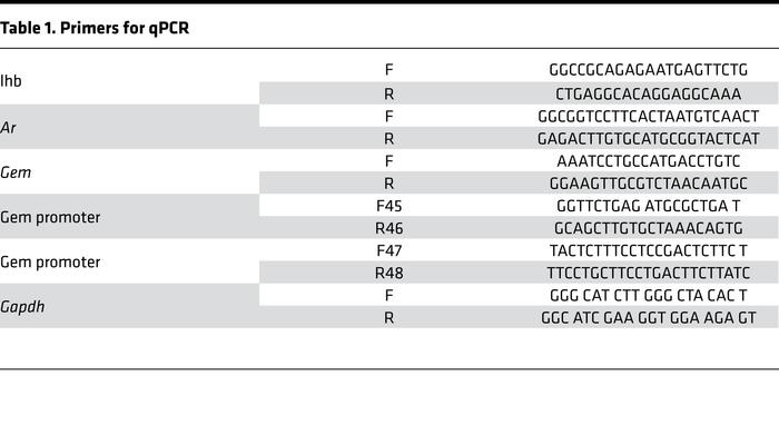 Primers for qPCR