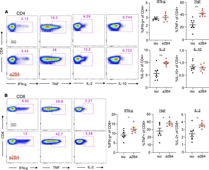 2B4 blockade in cancer septic animals increases T cell cytokine secretio...