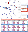 CITRUS identifies similar CD8+ populations that are elevated in cancer sept