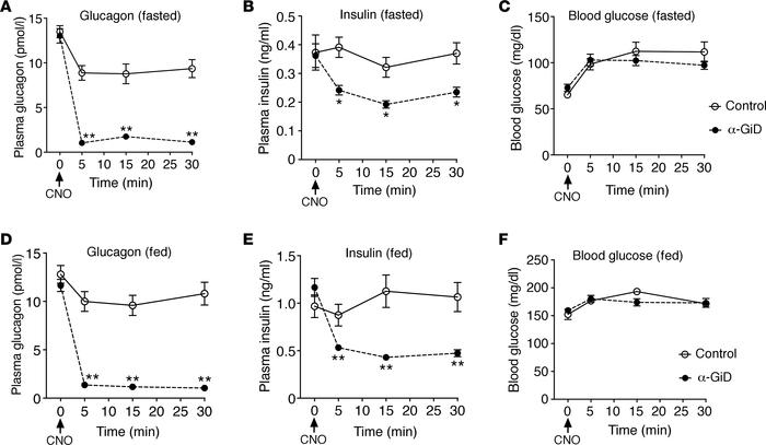 Acute activation of α cell GiD almost completely shuts down glucagon sec...