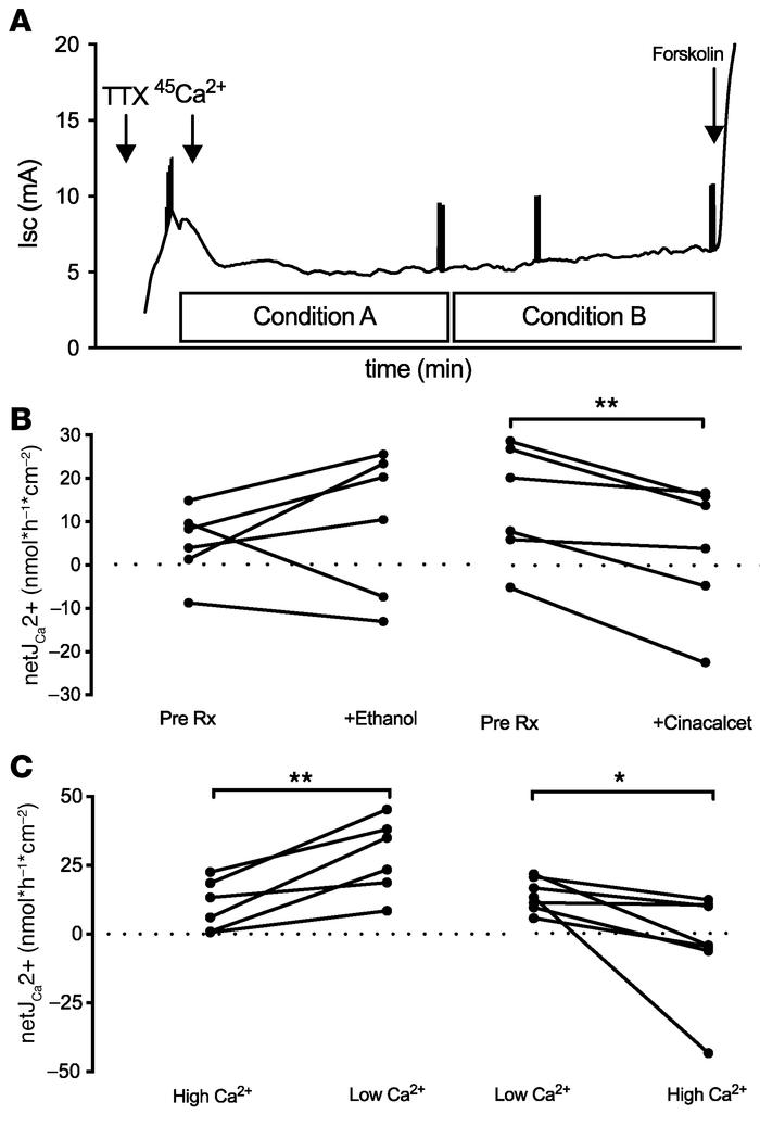 The effect of altering extracellular Ca2+ on Ca2+ fluxes across mouse pr...