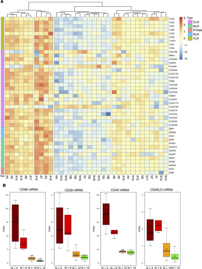 Relationship between mRNA abundance of PRRs and T cell costimulatory mol...