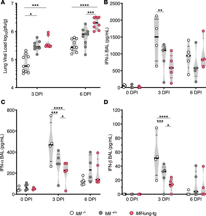 
Mif expression correlates with higher viral load after infection and lo...