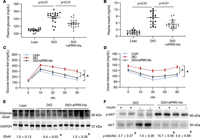 Effect of sPRR-His on glucose metabolism in DIO mice.
After 8 hours of f...