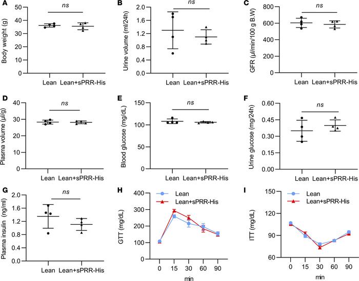 Effect of sPRR-His on body weight, renal function, and glucose metabolis...