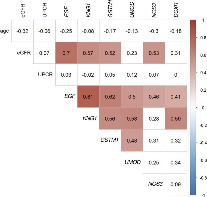 Correlations of continuous parameters in the discovery cohort (n = 63).
...