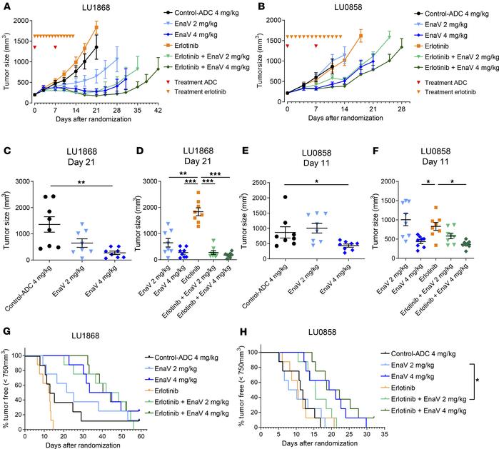 EnaV treatment overcomes resistance to EGFR inhibitors in vivo.
(A) Tumo...