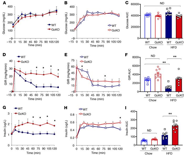 Hyperglycemic clamp studies in chow- and HFD-fed WT and Gc-KO mice asses...