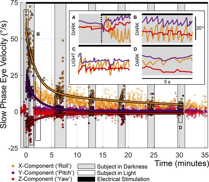 Initial MVI activation elicited robust nystagmus that decayed within 30 ...